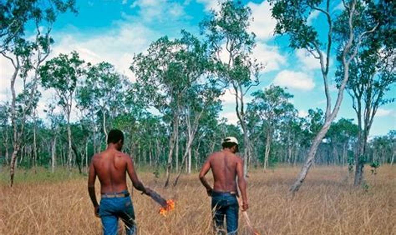 Unveiling the Secrets of Indigenous Farming Practices in Australia: Discoveries and Insights Await