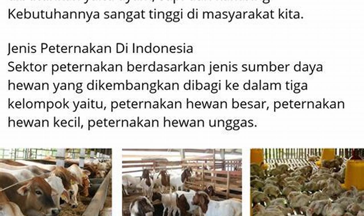 Cara Intensifikasi Usaha Peternakan di Indonesia