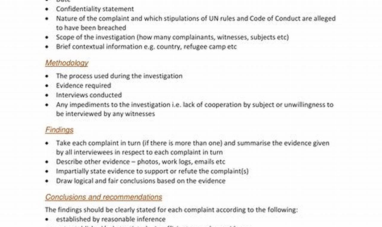 Investigation Report Example