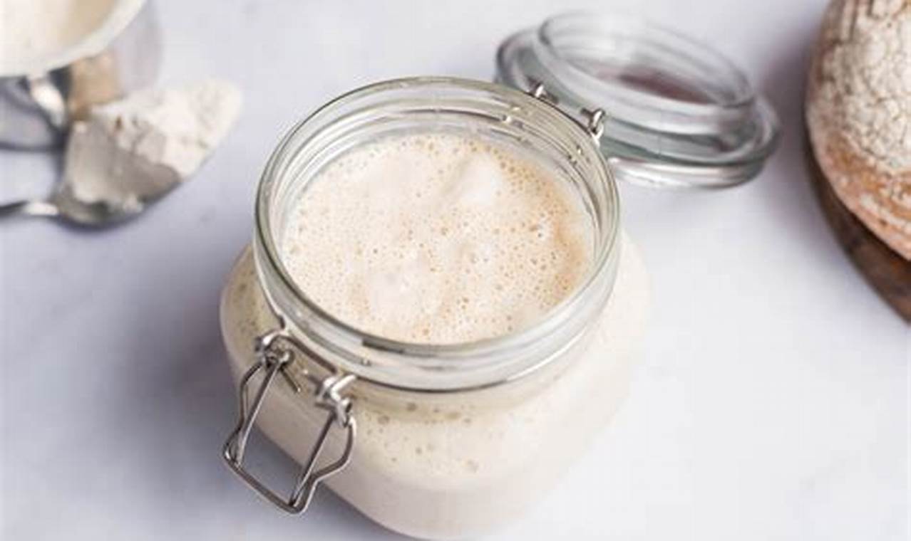 Unraveling the Secrets of Sourdough Starter Yeast: A Comprehensive Guide for Bakers