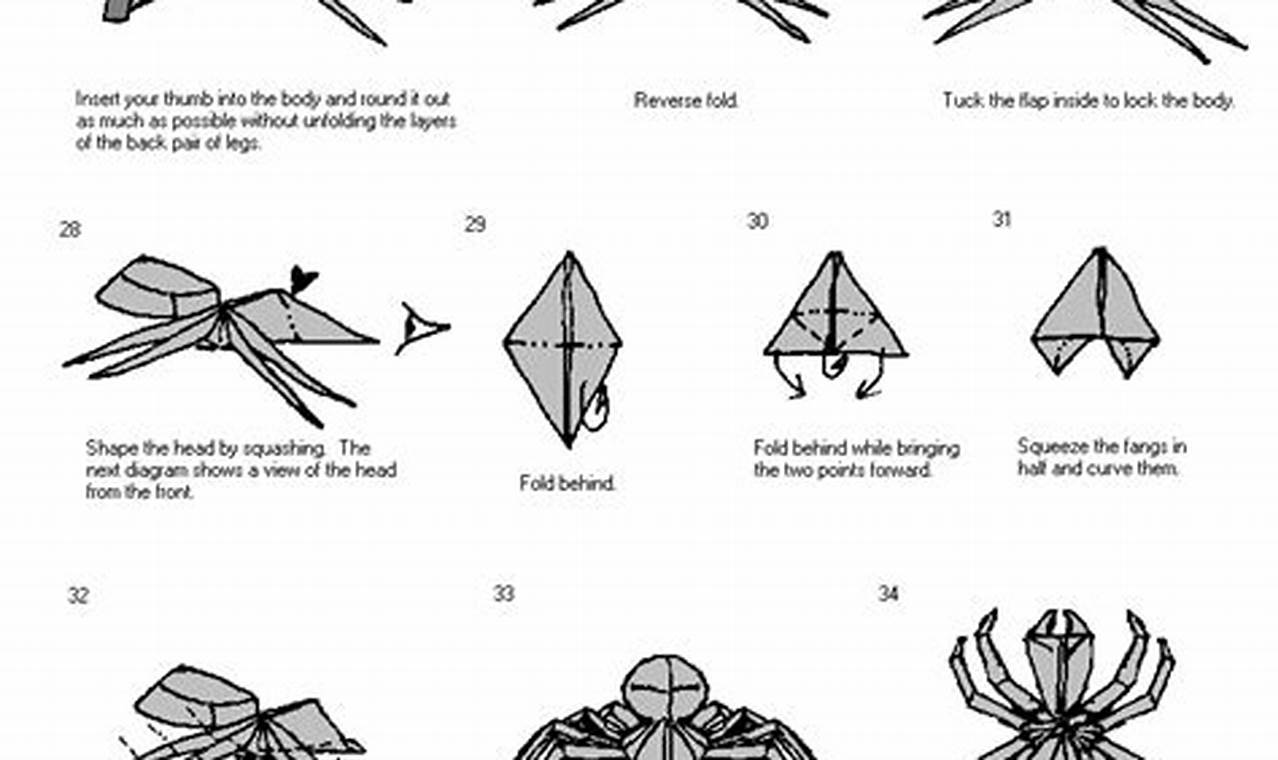 jumping spider origami instructions