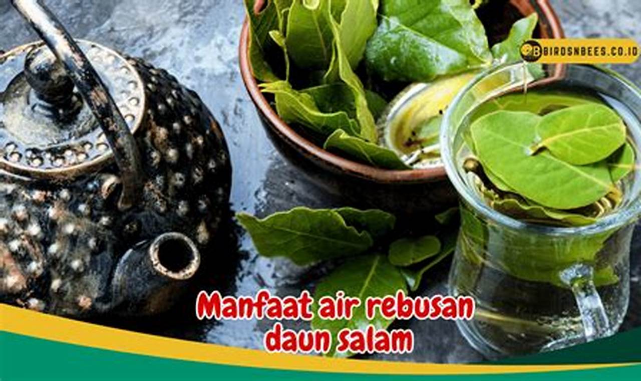 Temukan Khasiat Air Rebusan Daun Salam yang Jarang Diketahui untuk Menurunkan Kolesterol