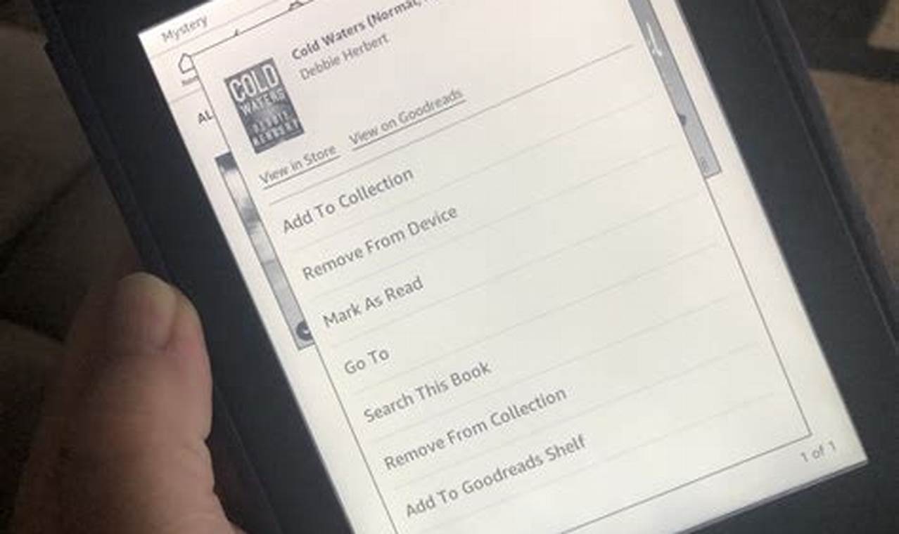 Kindle Library Access: Your Guide to a World of Digital Books