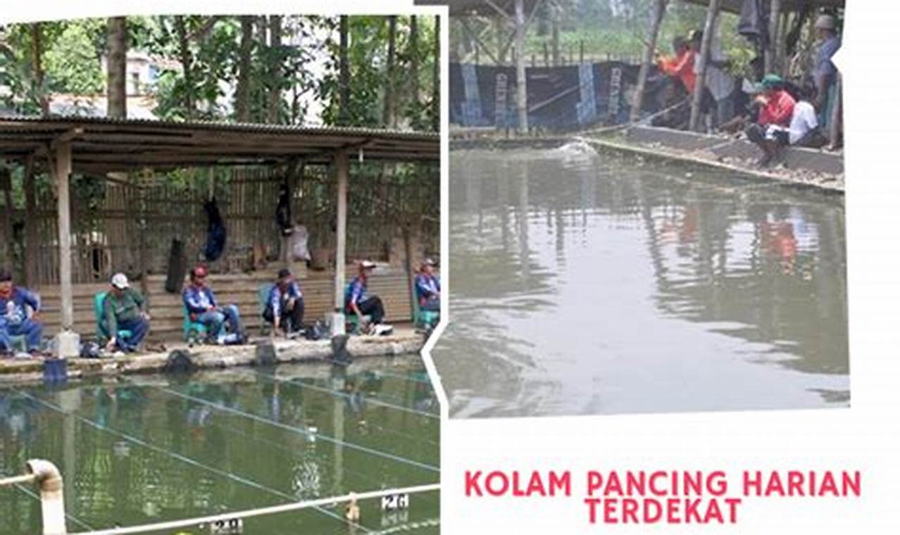 Panduan Memilih Kolam Pancing Harian Terdekat yang Tepat