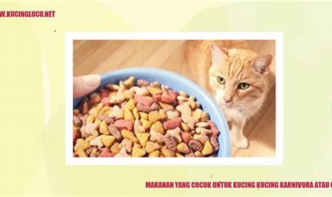 Mengulik Rahasia: Kucing, Karnivora atau Omnivora? Panduan Lengkap