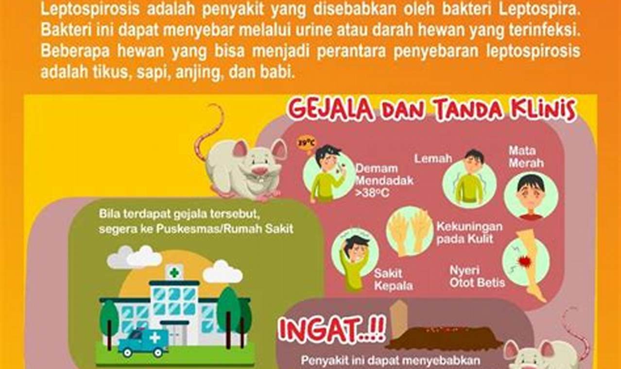 Leptospirosis Bukan Disebabkan Virus: Penemuan Penting untuk Kesehatan Anda