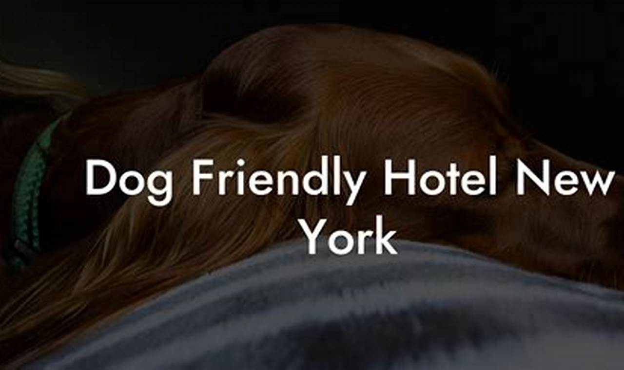 7 Paw-some Pet-Friendly Hotels in NYC: Unleash Your Furry Friend's Urban Adventure