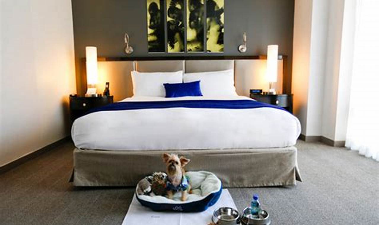 Find 7 Pet-Friendly Hotels in NYC for Extended Stays: A Local's Guide