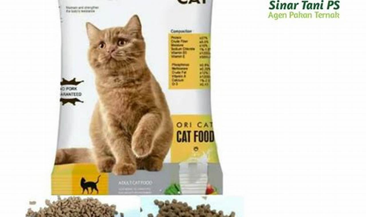 Makanan Kucing Kecil Terbaik untuk Pertumbuhan Sehat