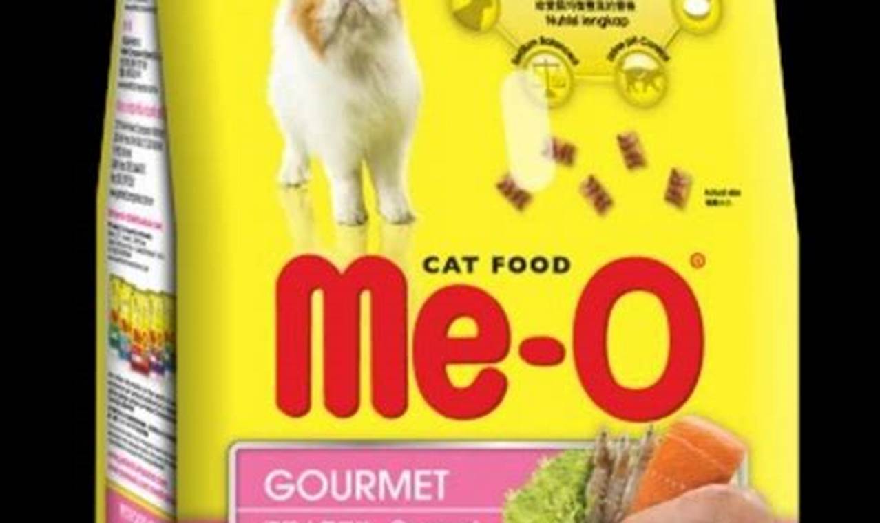 Makanan Keren untuk Kucing Tercinta Anda: Rekomendasi Makanan Kucing Meo