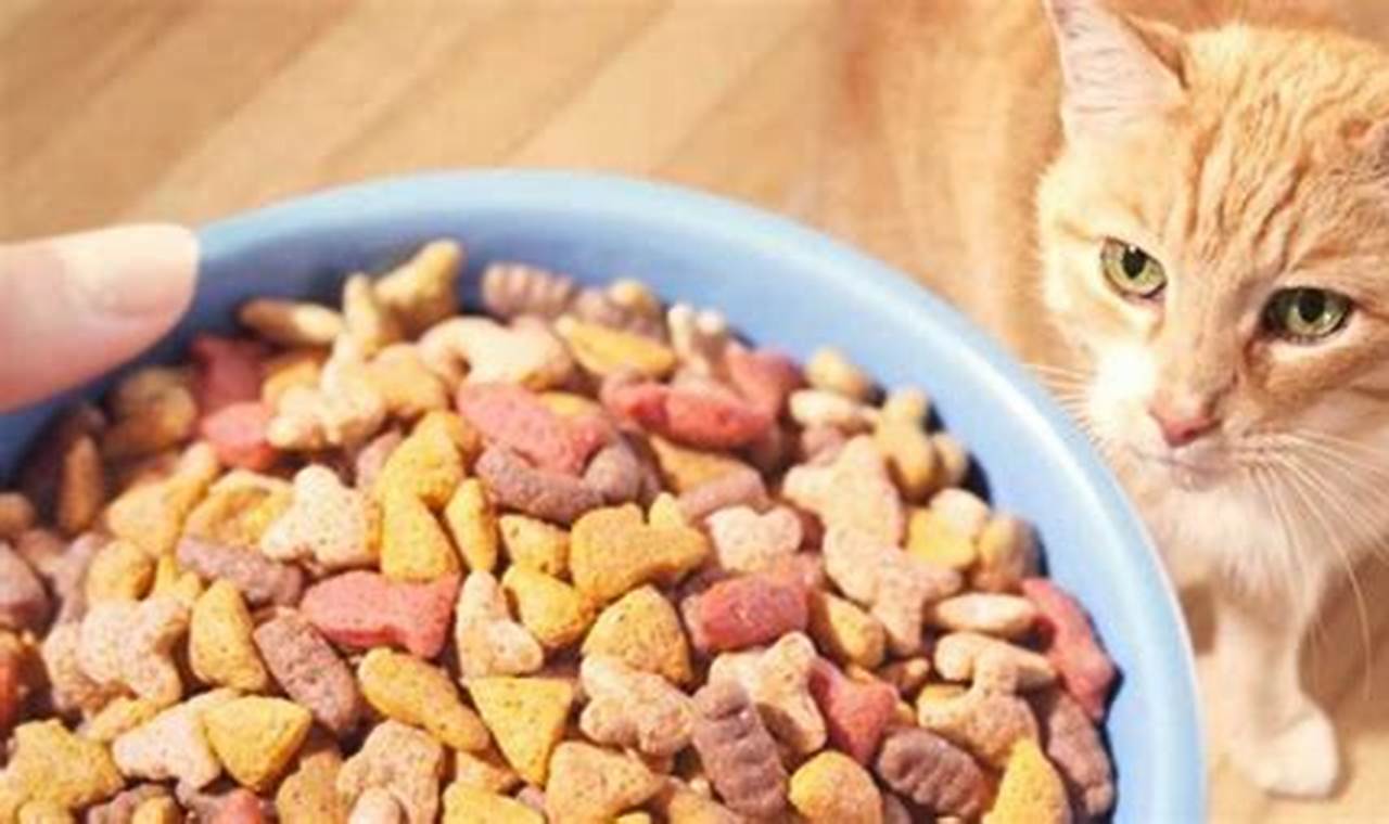 Cari Makanan Kucing Terdekat untuk Kesehatan dan Kebahagiaan Kucing Anda