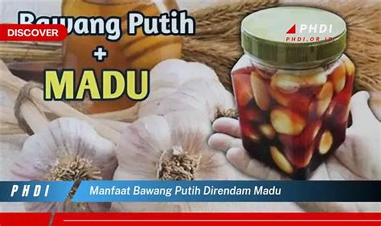 Temukan Rahasia Manfaat Bawang Putih Direndam Madu yang Jarang Diketahui