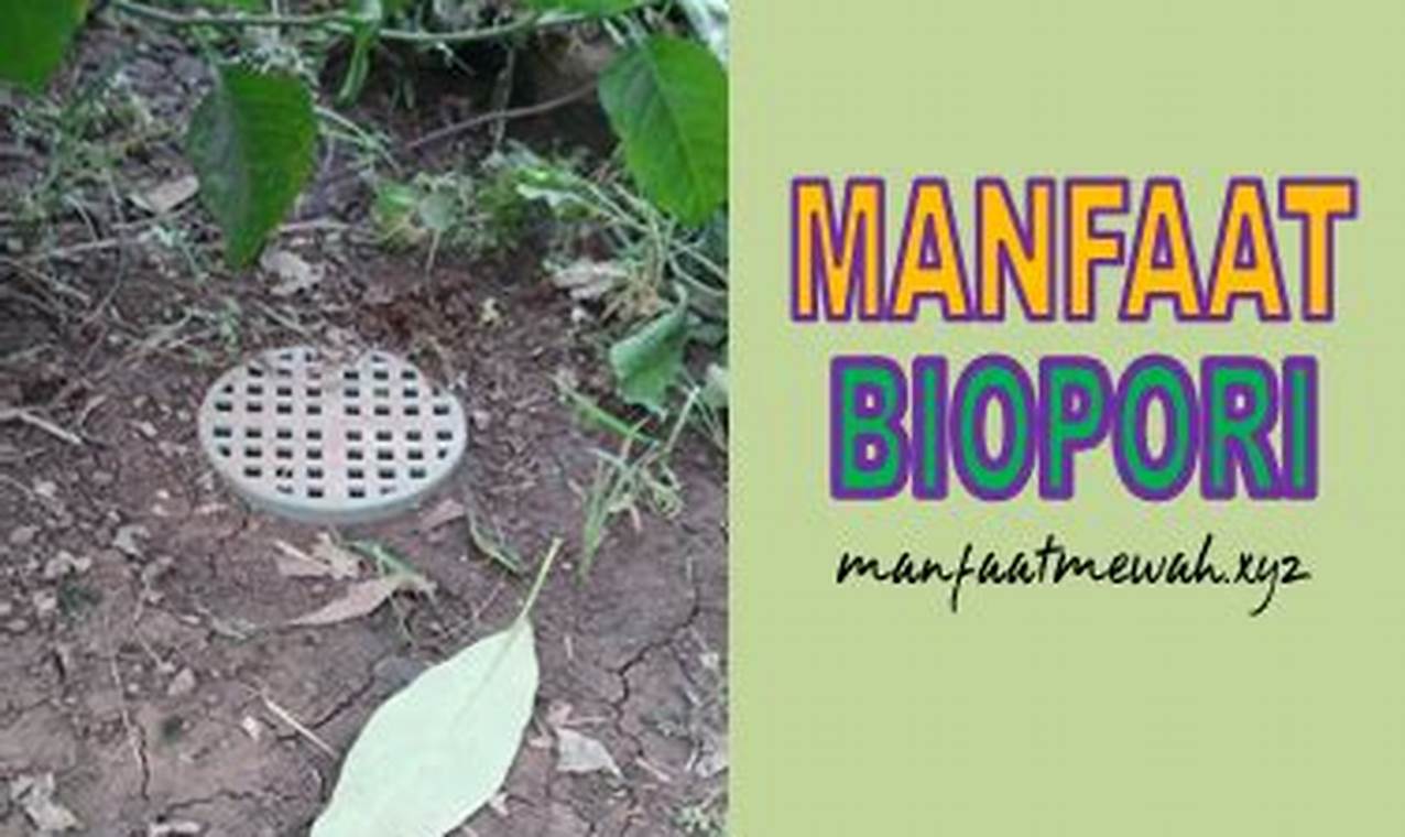 Manfaat Biopori yang Harus Anda Tahu untuk Lingkungan