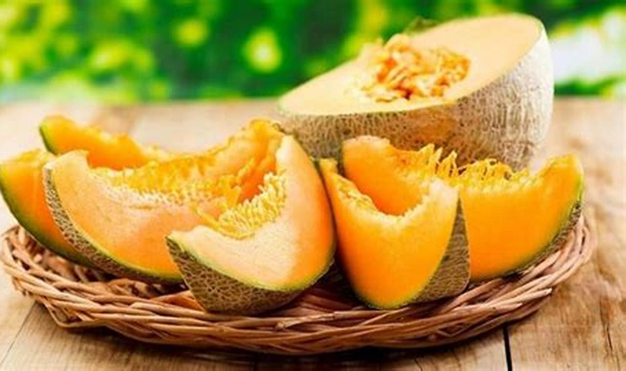 Temukan Manfaat Buah Melon yang Jarang Diketahui, Anda Pasti Terkejut!