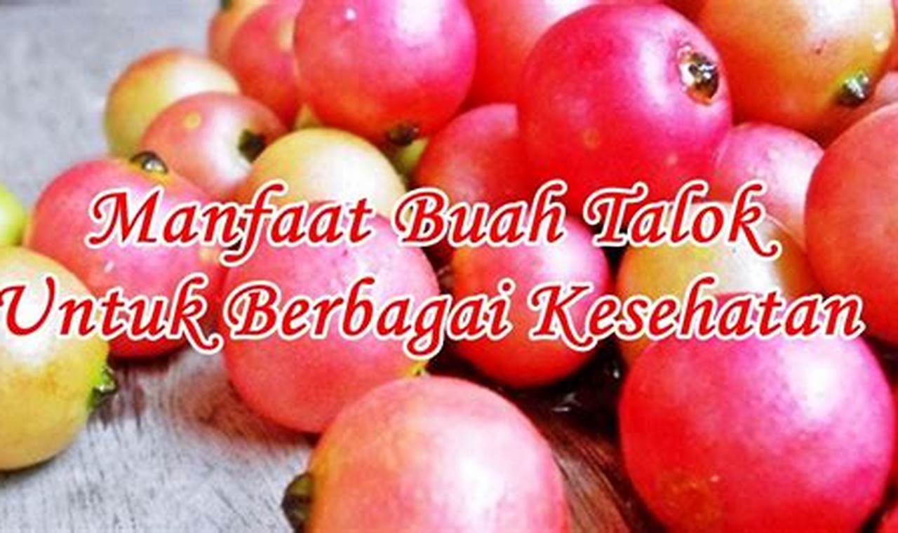 Temukan Manfaat Buah Talok Untuk Kesehatan Yang Jarang Diketahui