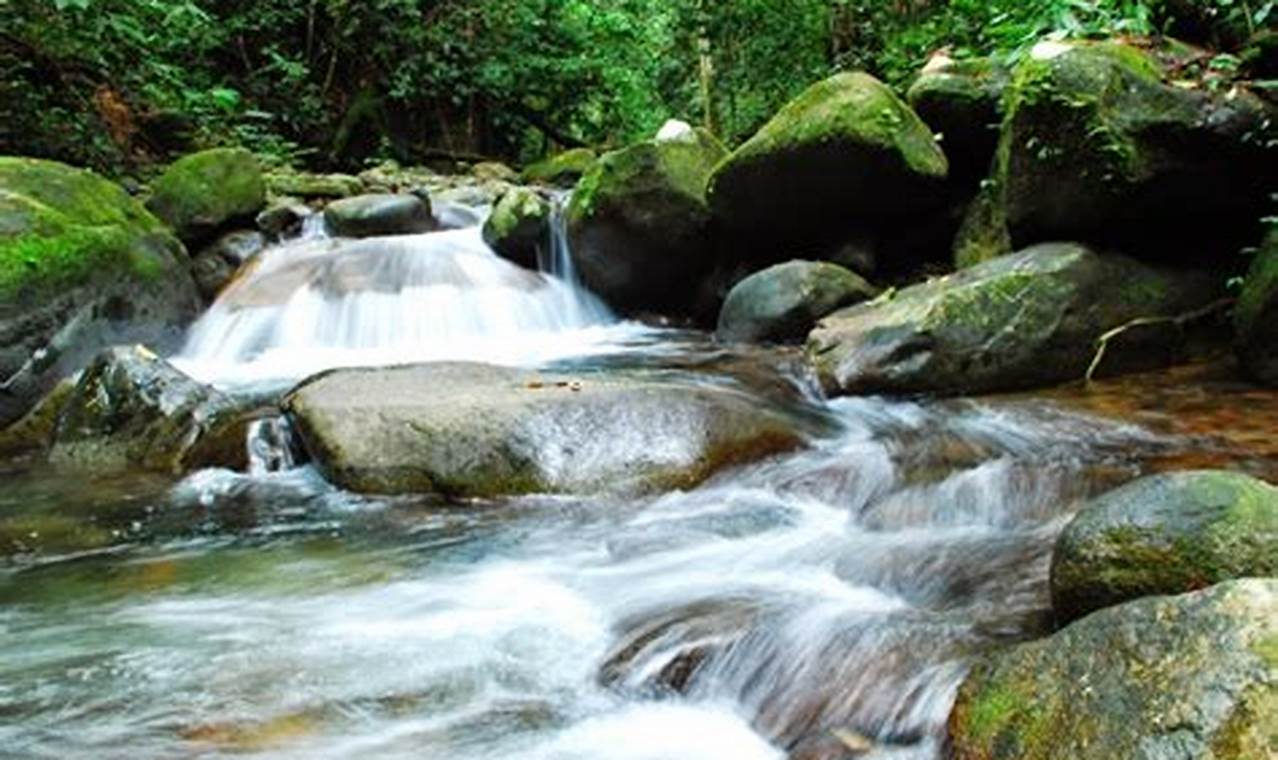 Temukan Rahasia Manfaat Sungai yang Jarang Diketahui