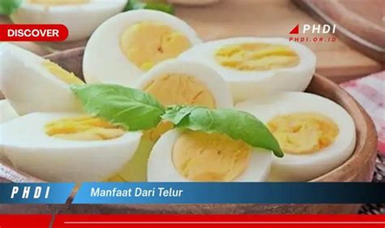 Manfaat Telur yang Jarang Diketahui: Temukan Manfaatnya yang Menakjubkan!