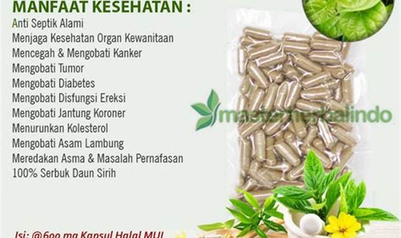 Manfaat Daun Sirih untuk Lambung yang Jarang Diketahui