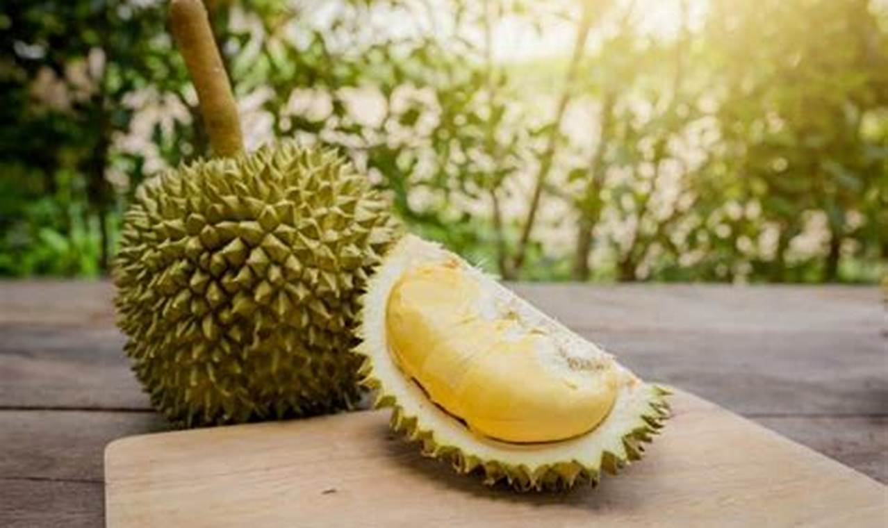 Temukan Khasiat Durian untuk Kesehatan yang Jarang Diketahui