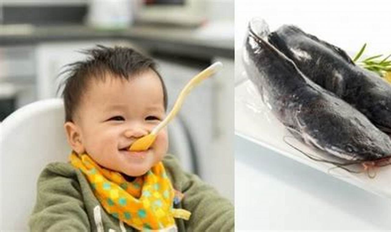 Temukan Manfaat Ikan Lele untuk Bayi yang Jarang Diketahui