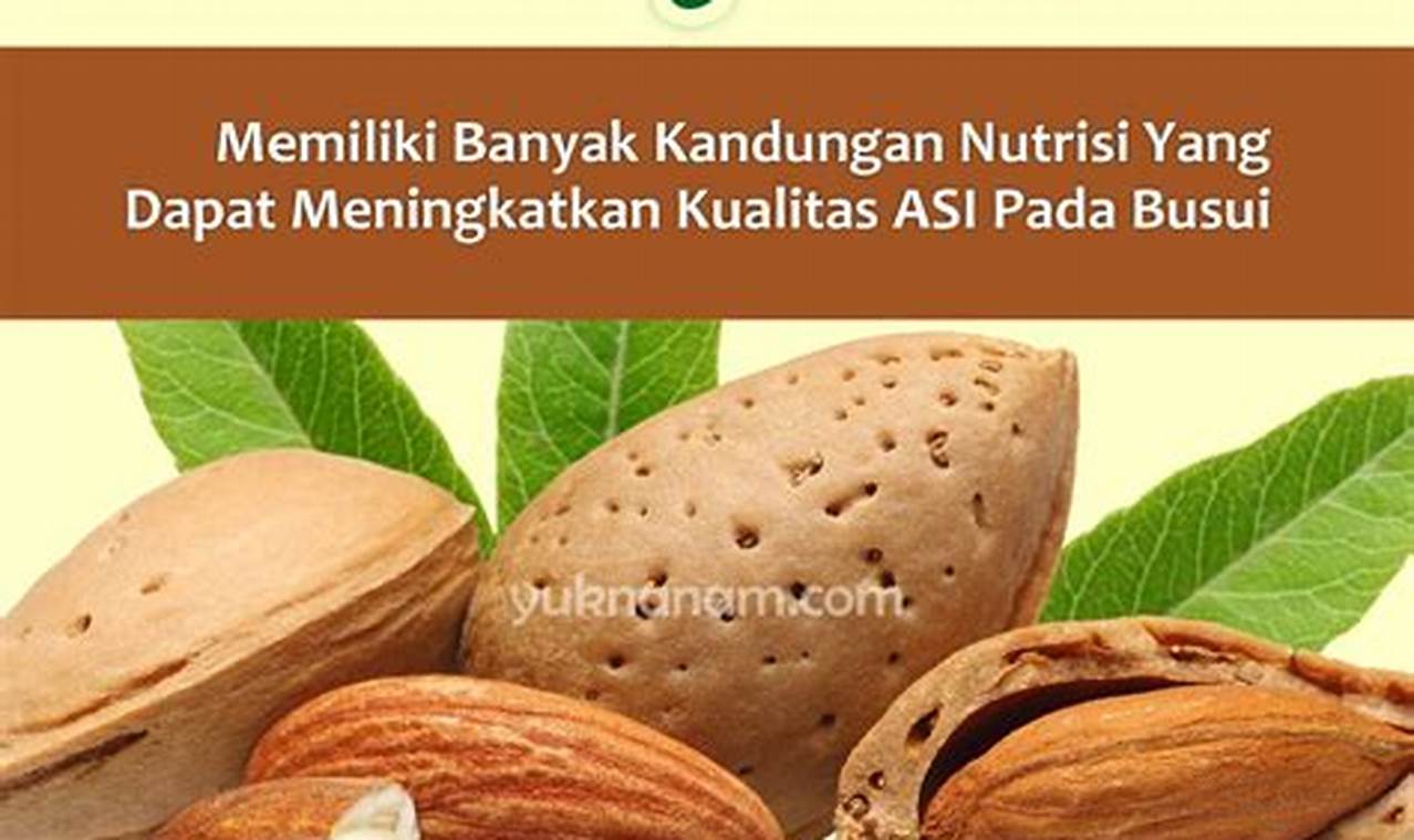 Temukan Manfaat Kacang Almond yang Jarang Diketahui