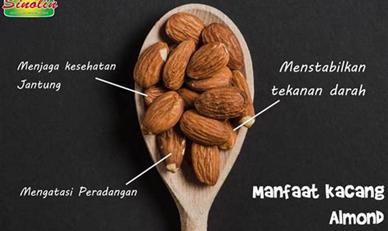 Manfaat Kacang Almond untuk Wanita: 9 Khasiat Luar Biasa yang Wajib Diketahui