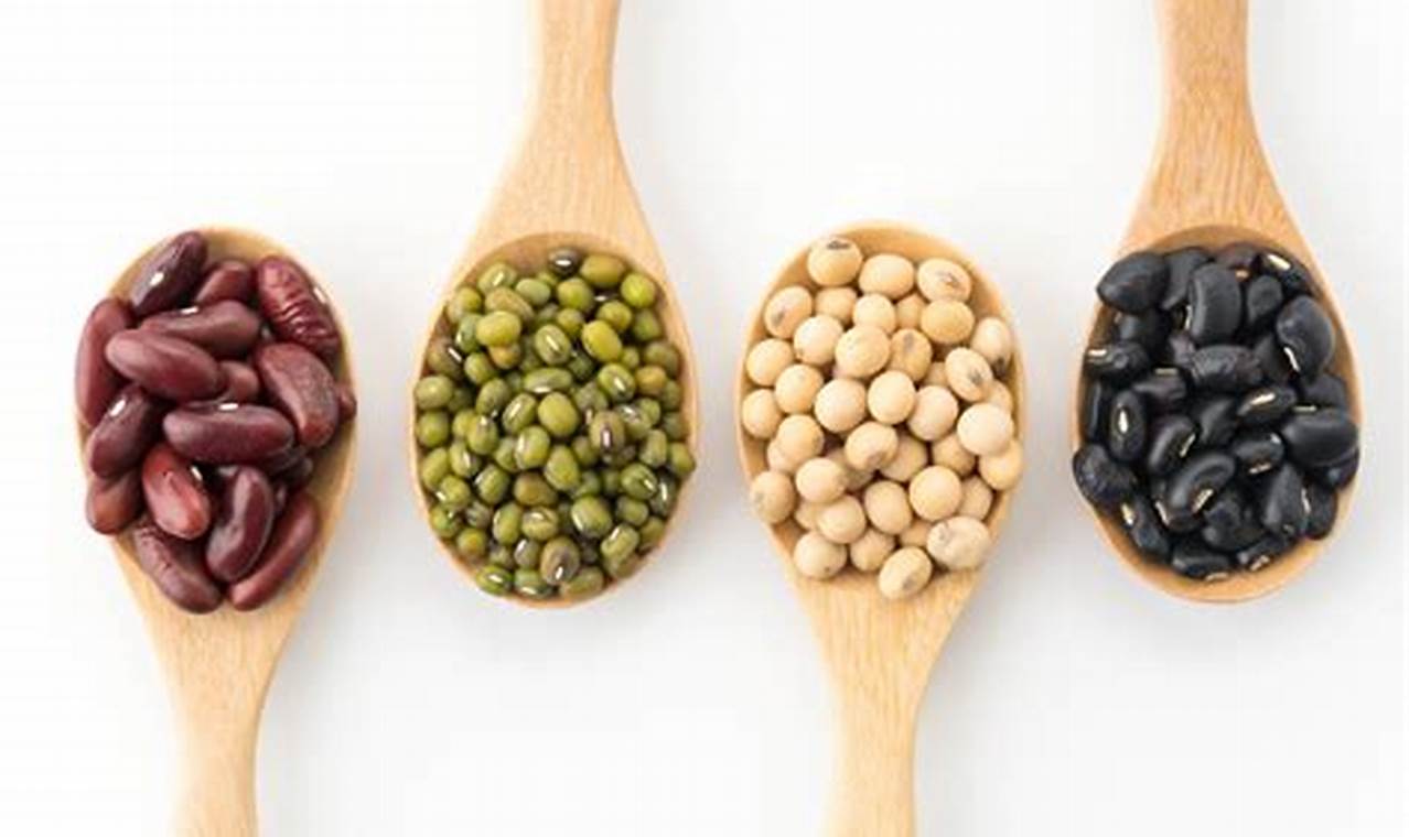 Ungkap Manfaat Kacang Kacangan: Temuan dan Wawasan Tak Terduga yang Harus Anda Ketahui