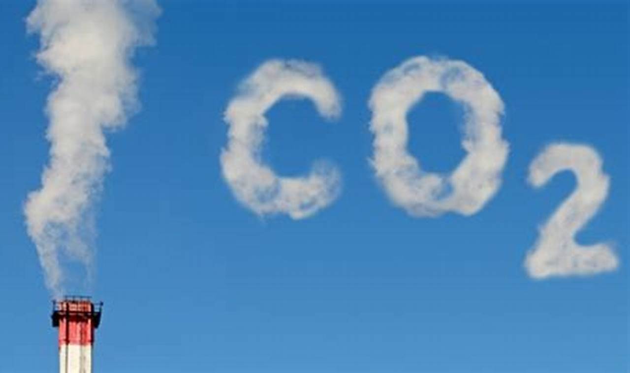 Temukan 9 Manfaat Karbon dalam Kehidupan Sehari-hari yang Jarang Diketahui
