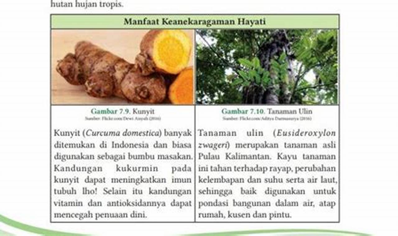 Manfaat Keanekaragaman Hayati dalam Ekonomi: Temuan dan Wawasan Langka yang Anda Butuhkan!