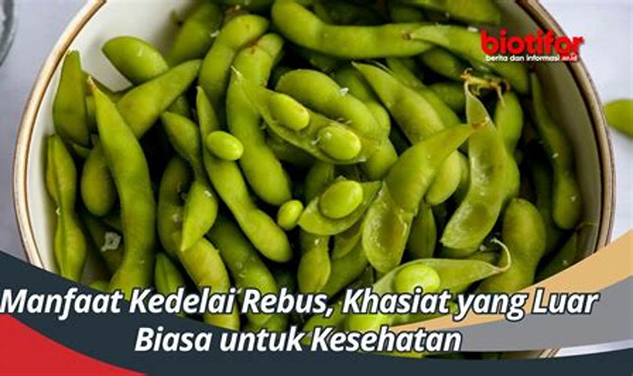 Temukan 9 Manfaat Kedelai Rebus untuk Kesehatan, Wajib Diketahui!