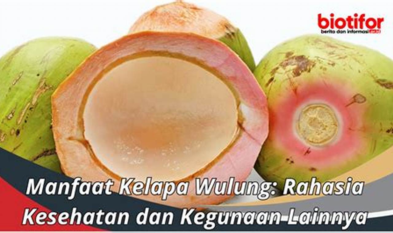 Khasiat Unik Kelapa Wulung yang Jarang Diketahui