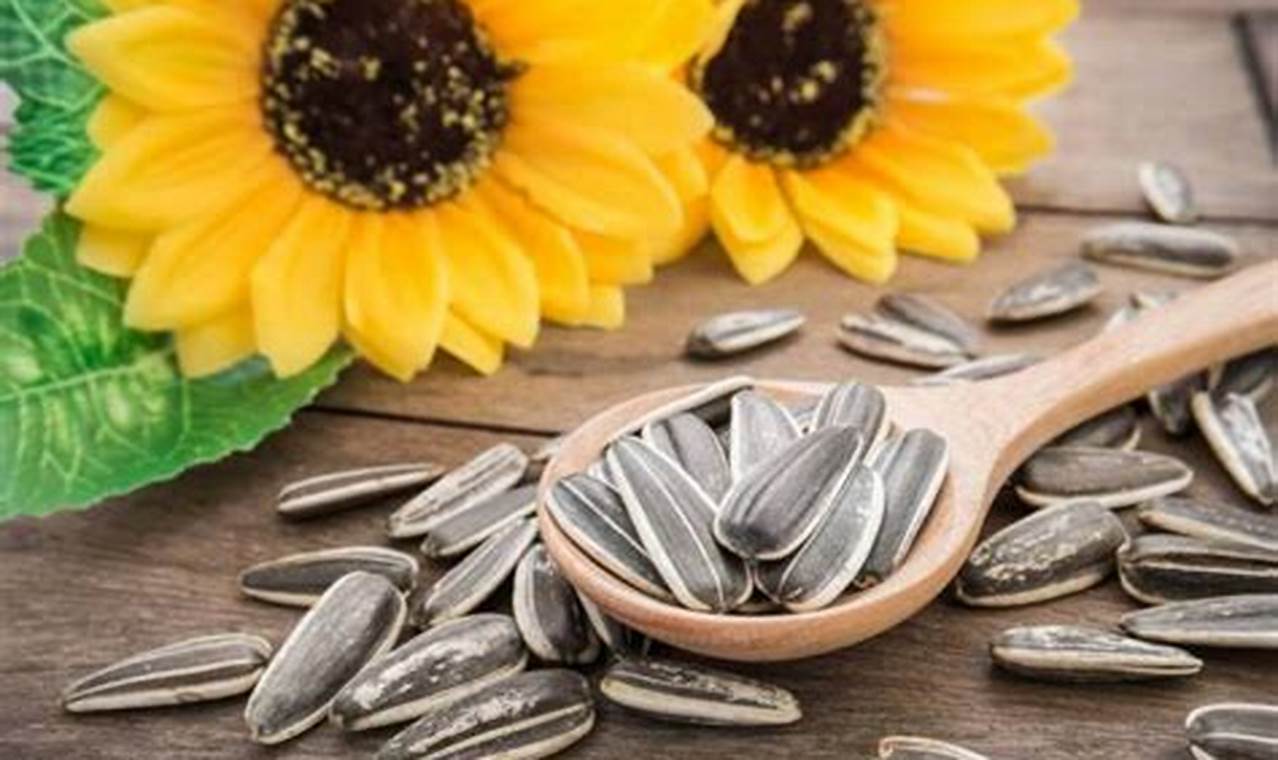 8 Manfaat Kwaci Bunga Matahari untuk Diet yang Jarang Diketahui