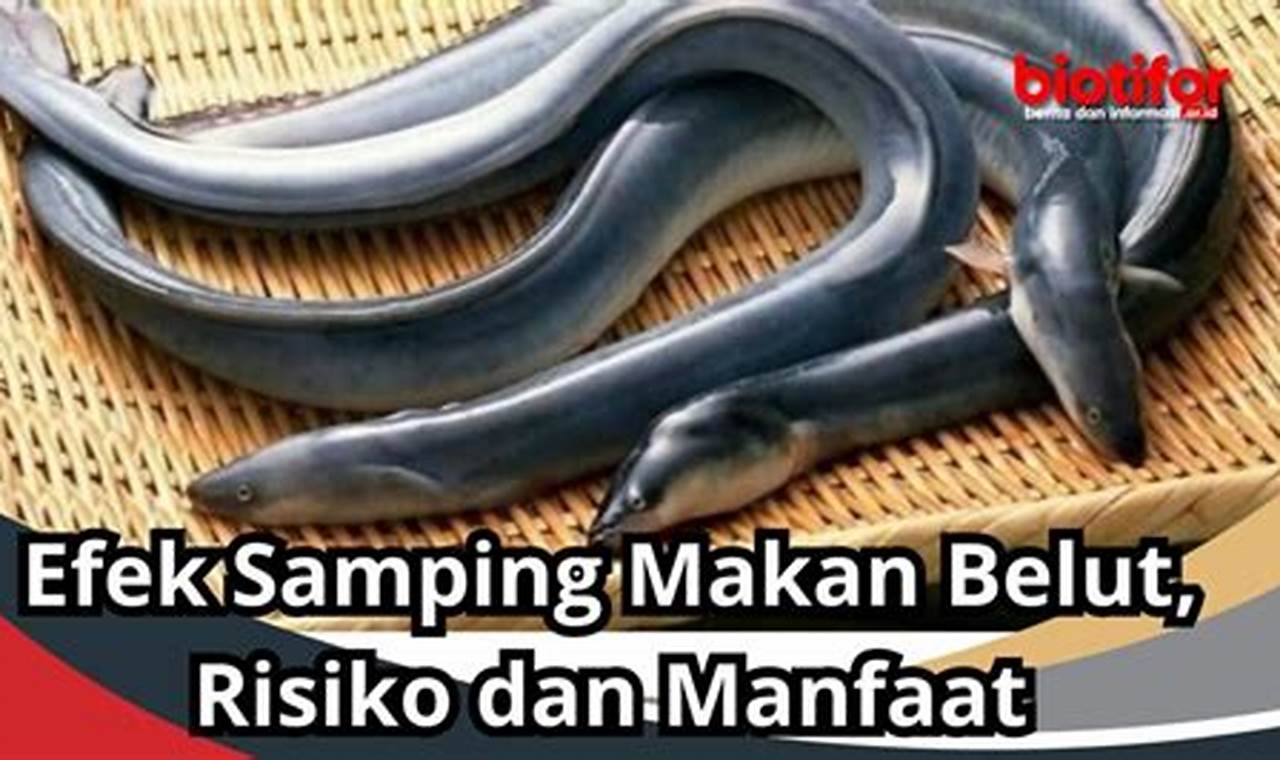 Manfaat Langka Makan Belut yang Perlu Anda Tahu