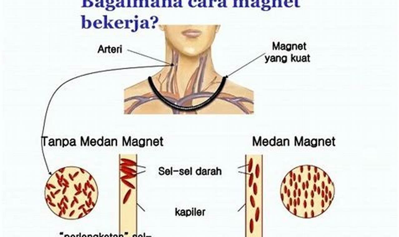 Manfaat Medan Magnet yang Jarang Diketahui