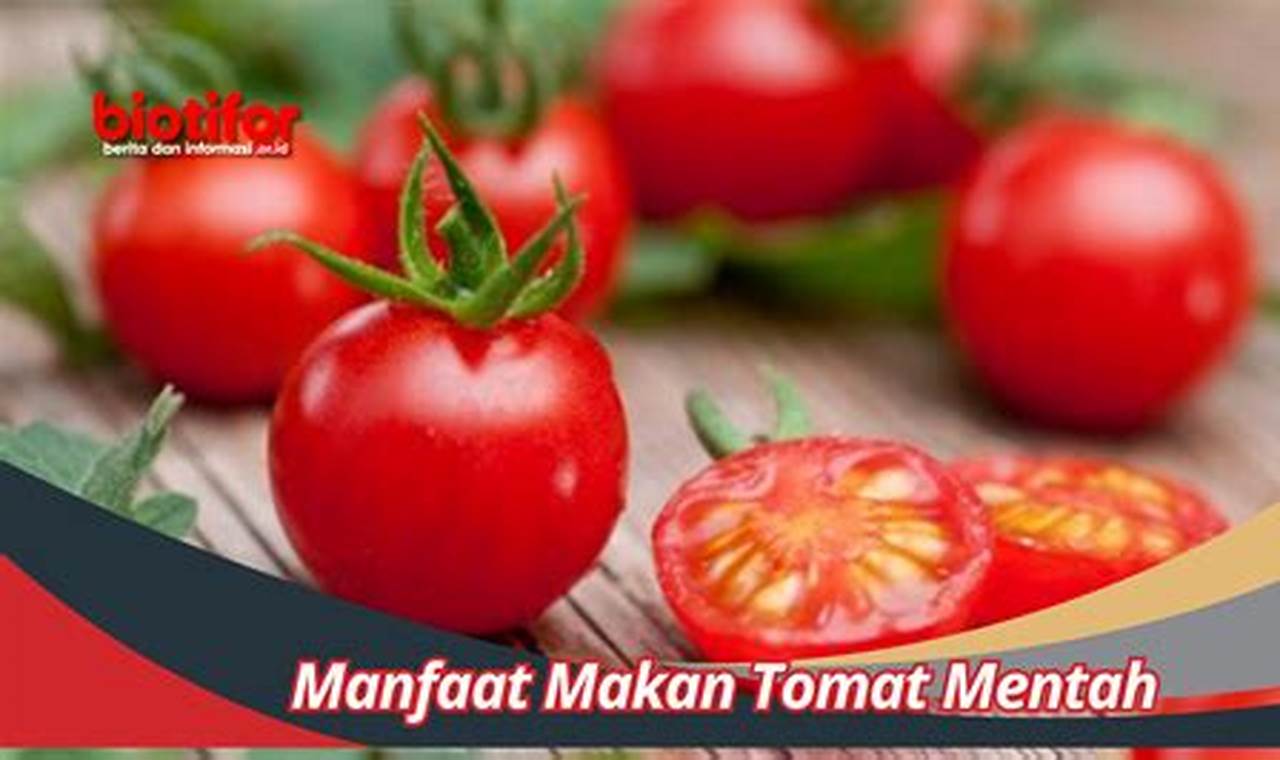 Manfaat Makan Tomat: Penemuan dan Wawasan Langka yang Harus Anda Ketahui