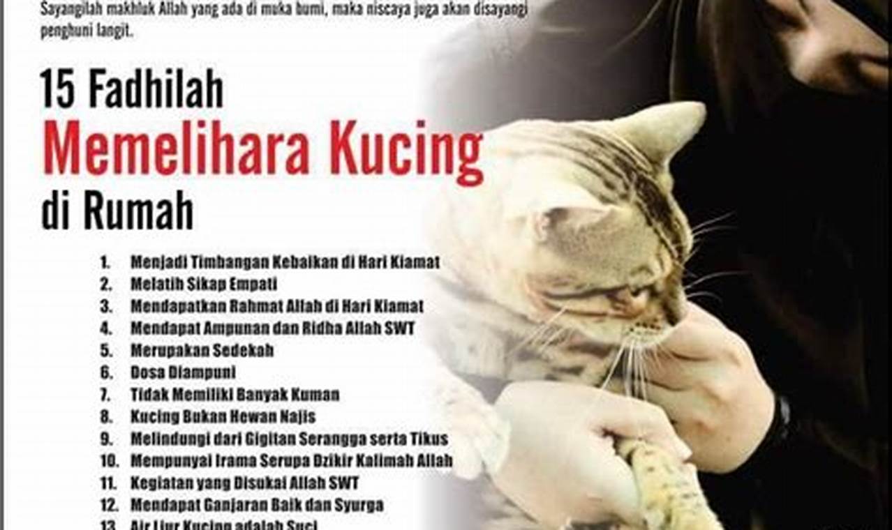 Manfaat Memelihara Kucing dalam Islam: Penemuan dan Wawasan yang Jarang Diketahui