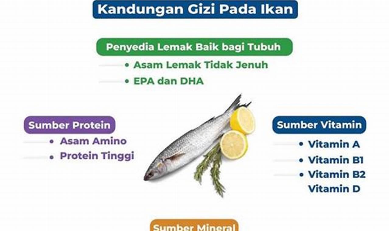 Manfaat Mengkonsumsi Ikan: Terungkap & Jarang Diketahui