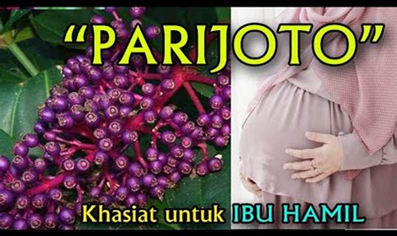 Temukan 7 Manfaat Parijoto untuk Ibu Hamil, Jarang Diketahui!