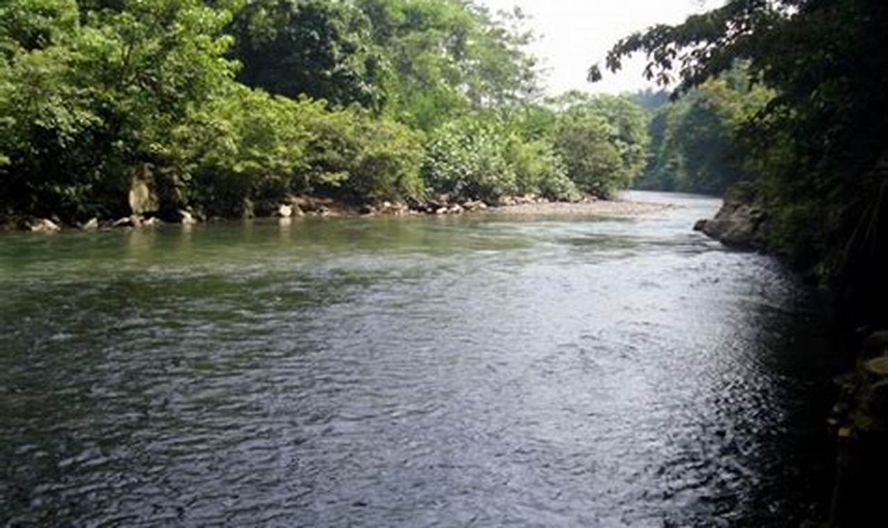 Temukan 10 Manfaat Sungai yang Jarang Diketahui