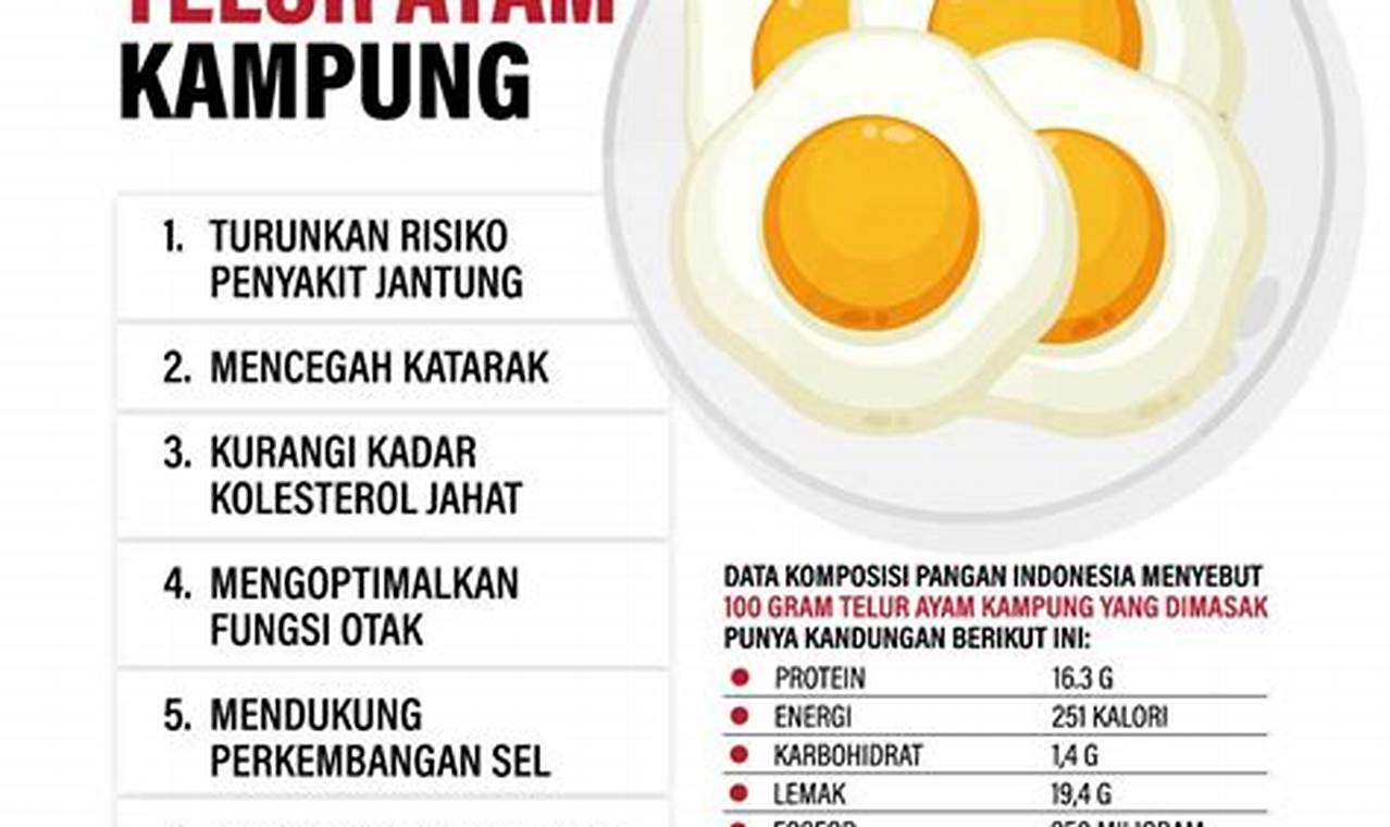 Manfaat Telur Ayam Kampung yang Bikin Anda Tercengang!