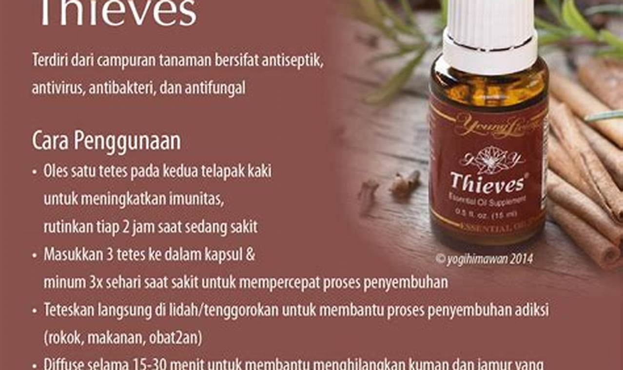 Temukan Manfaat Thieves Young Living yang Jarang Diketahui, Dibongkar di Sini!