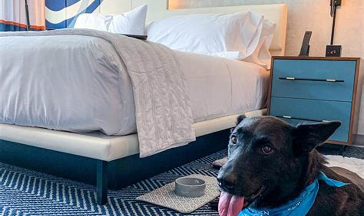 Discover 10+ Marriott Pet-Friendly Hotels in New York City: A Tail-Wagging Guide