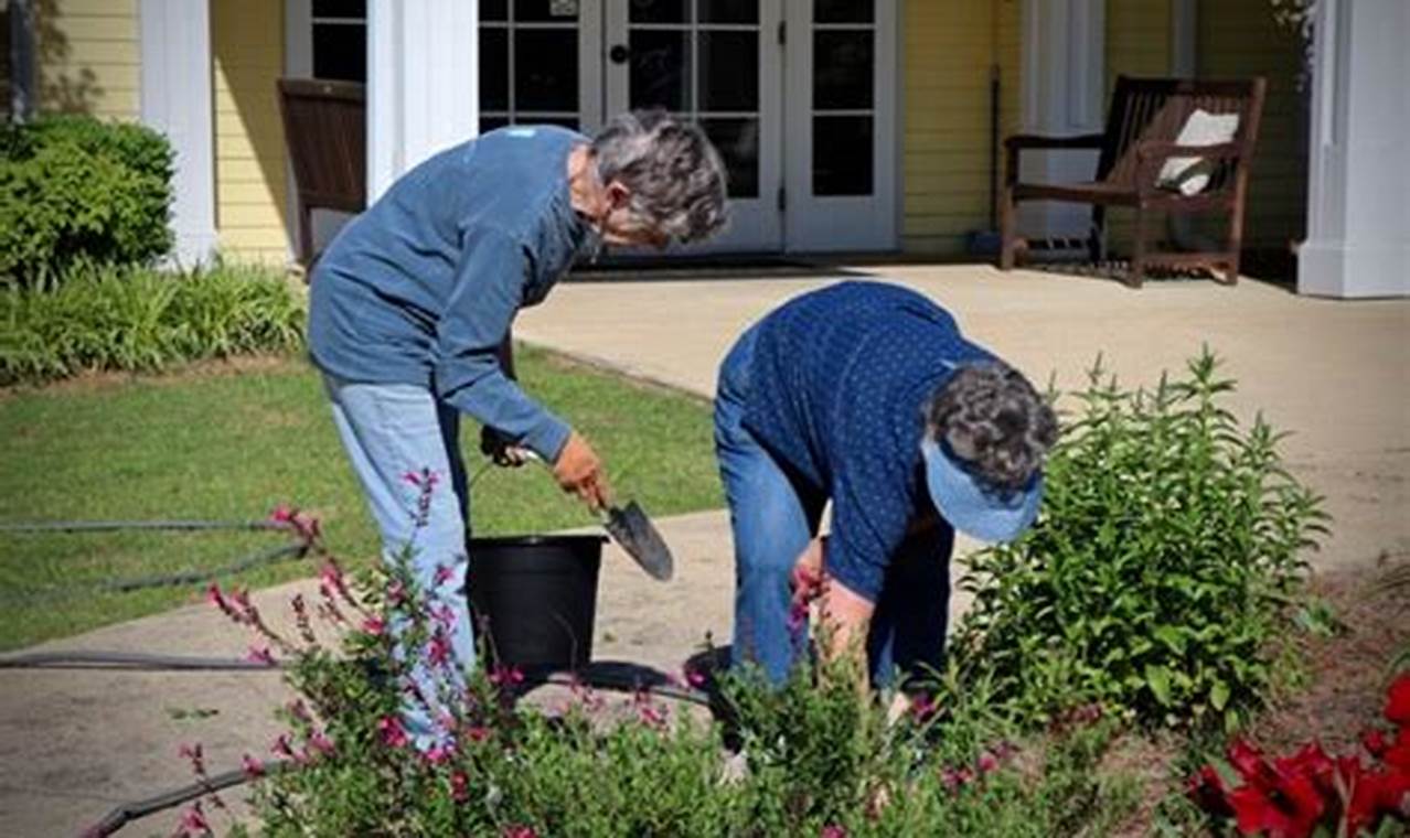 Master Gardener Volunteer Hours: A Valuable Contribution to Gardening Education