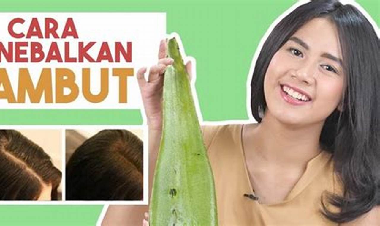 Rahasia Rambut Tebal & Kuat! Terungkap Cara Menebalkan Rambut Secara Alami