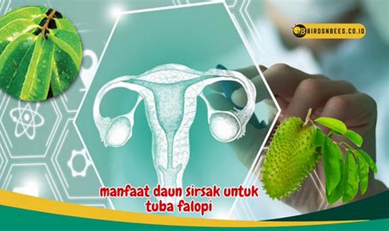 Temukan Manfaat Daun Sirsak untuk Tuba Falopi yang Jarang Diketahui