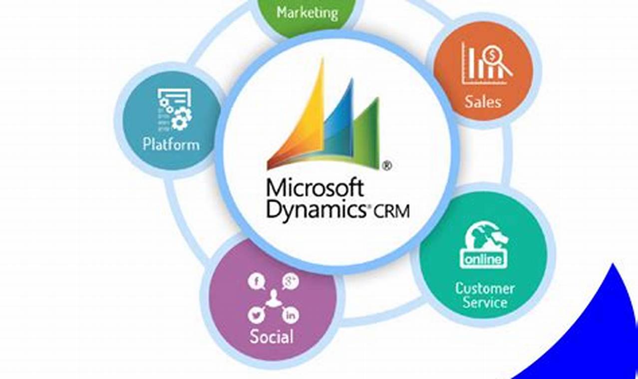 The Power of Microsoft CRM Solutions for Empowering Businesses