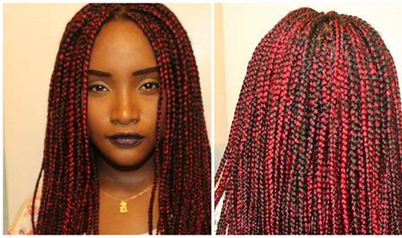 Discover the Enchanting World of Mixed Red and Black Box Braids