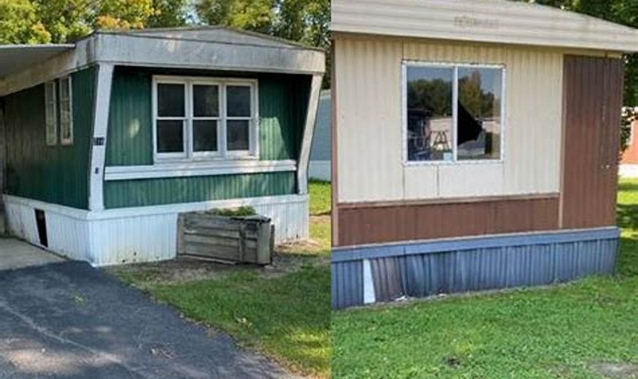 Holy Ham Sandwiches! Mobile homes for sale in Schuyler, Missouri: Dirt-cheap!