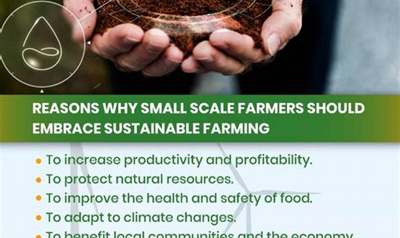 Unveiling the Secrets of Sustainable Farming: Discoveries for the Future of Agriculture