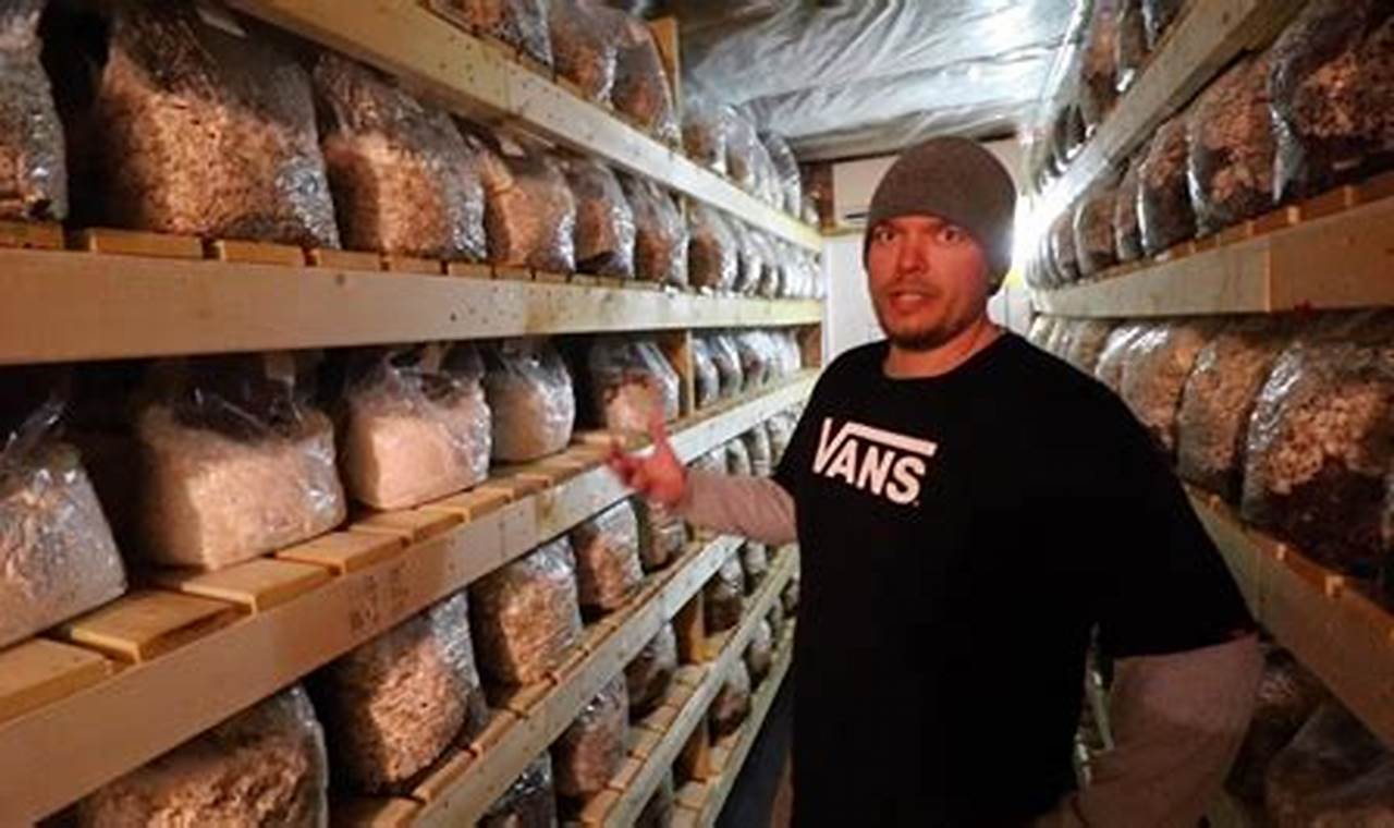 Discover the Secrets of Mushroom Farm DIY: A Journey of Cultivation and Rewards